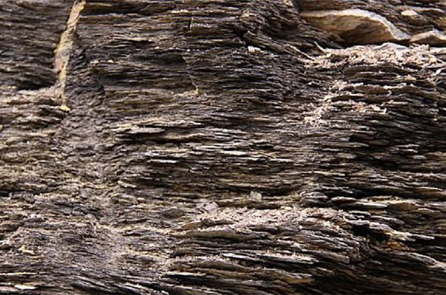 油頁巖物料 油頁巖物料